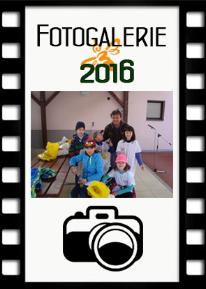 Zlatá včela 2016