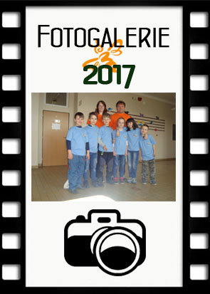 Zlatá včela 2017