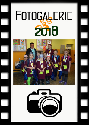 Zlatá včela 2018