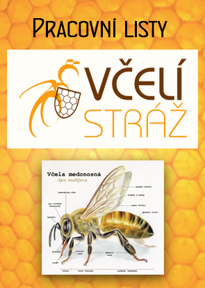 Včelí stráž