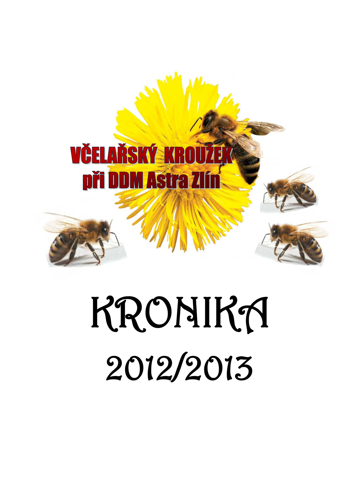 Kronika 2012-2013